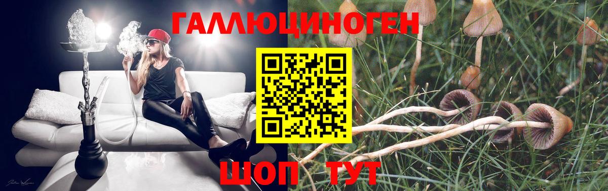 Псилоцибиновые грибы мухоморы Боровичи
