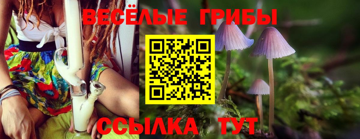Боровичи  Галлюциногенные грибы Psilocybine cubensis  Вход с VPN 